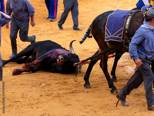 retiring the dead bull photo