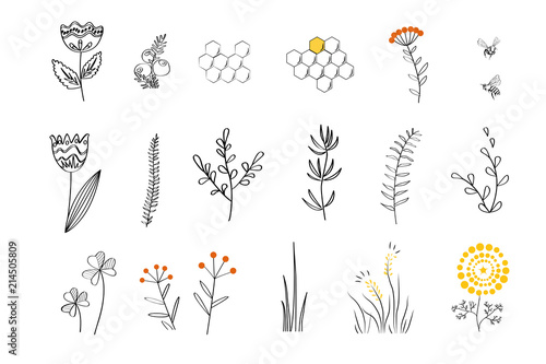 Doodle plants set for honey bees