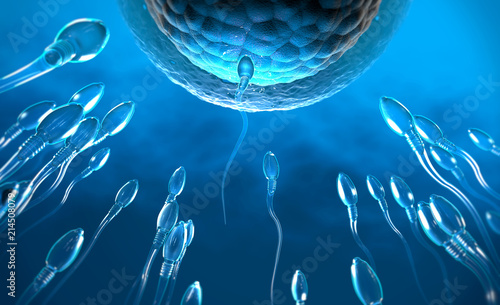 Tableau sur toile 3d illustration of transparent sperm cells swimming towards egg cell