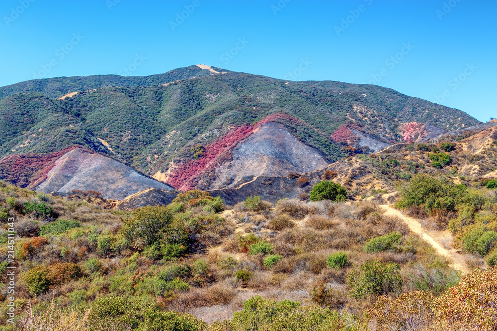 Fototapeta premium Burned hillsides from forest fire with fire retardant covering hills