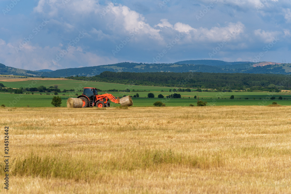 Fototapeta premium Tractor lifting hay bale on barrow.