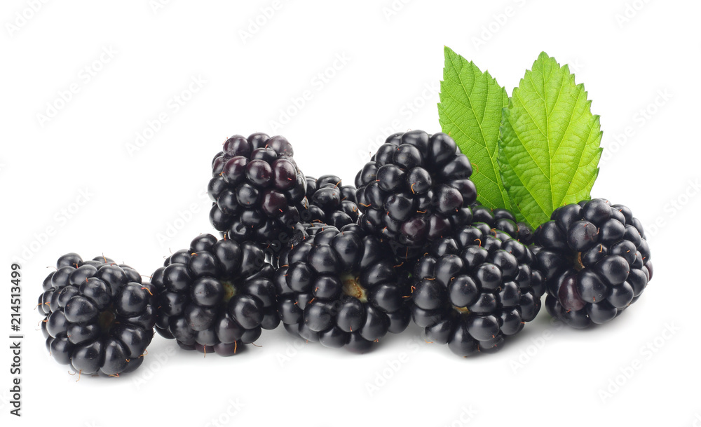 blackberries with green leaf isolated on white background. macro blackberries with green leaf isolated on white background. macro