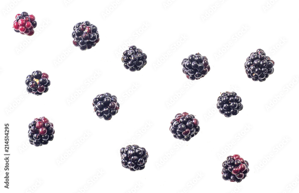 Group of tasty ripe blackberry isolated on white background. Top view. - obrazy, fototapety, plakaty 