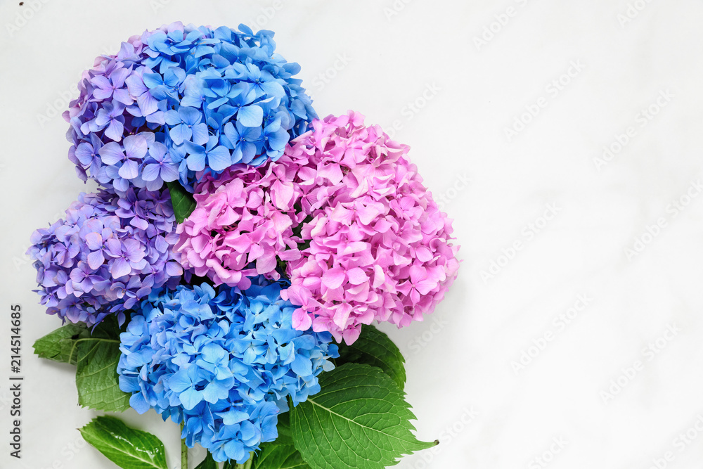 hydrangea flowers bouquet over white marble table with copy space. top view
