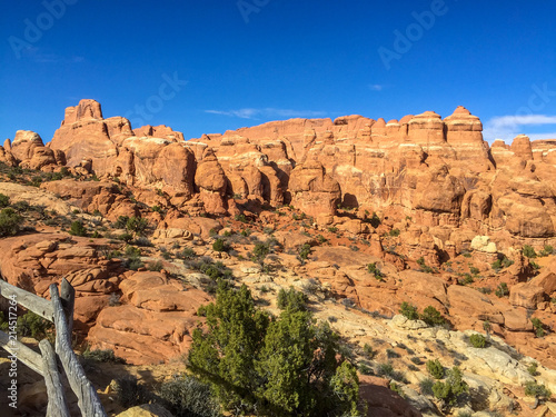 Hoodoos in Arches National Park, Utah