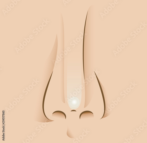 Detailed Nose Illustration