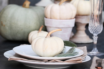 Thanksgiving Day or Halloween place setting with heirloom mini white and grey pumpkins.