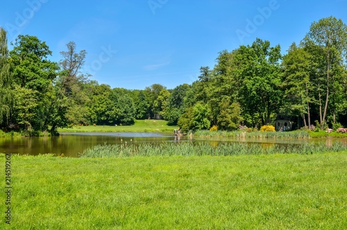 Beautiful spring landscape. Colorful flowers and greenery at the pond in the park.