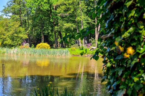 Beautiful spring landscape. Colorful flowers and greenery at the pond in the park.