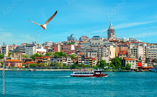 Canvas Print View on istanbul city