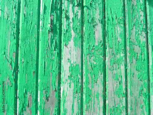 Green wooden wall with worn paint vertical