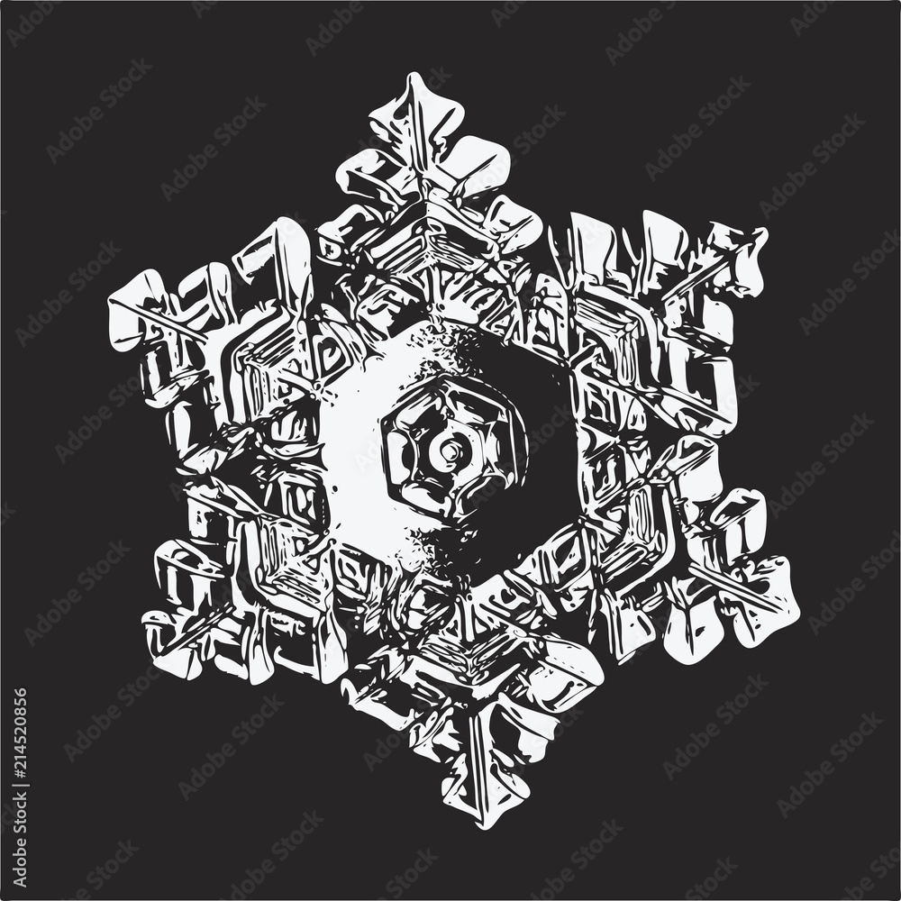 White snowflake on black background. This vector illustration based on macro photo of real snow crystal: beautiful star plate with fine hexagonal symmetry, six short, broad arms and relief surface.