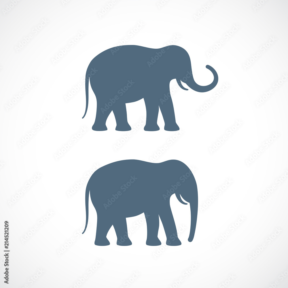 Fototapeta premium Elephant vector shape