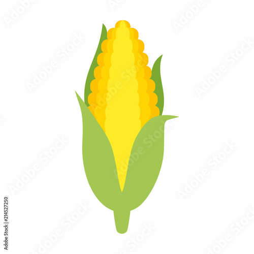 Corn cob vector clipart cartoon. Corn cob with leaves.