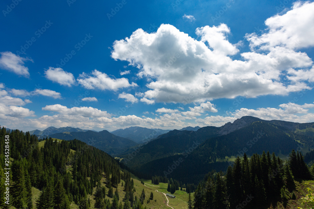 Panorama view of the alps in summer