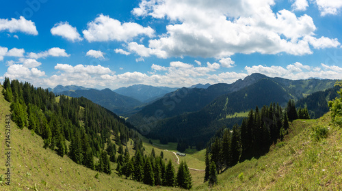 Panorama view of the alps in summer