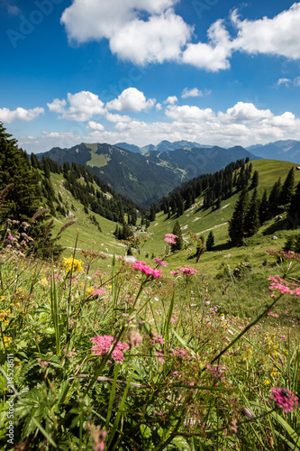 Panoramic view of beautiful landscape in the Alps with fresh green meadows and blooming flowers and snow-capped mountain tops in the background on a sunny day with blue sky and clouds in springtime