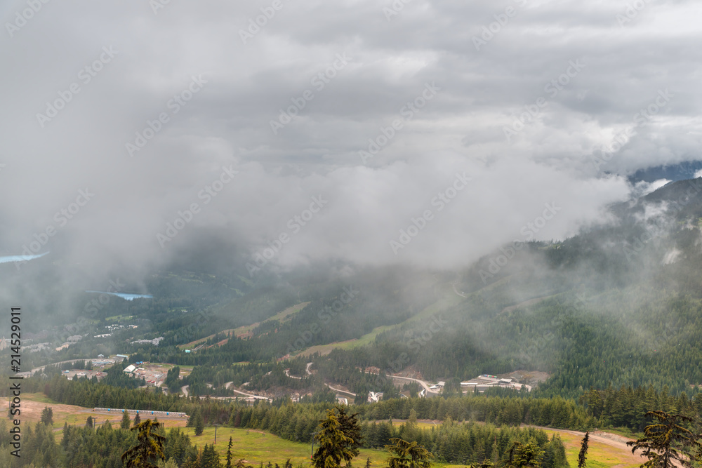 Thick, low clouds in the mountains covered with forest and grass