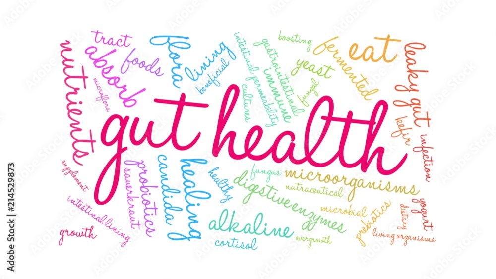 Gut Health animated word cloud on a white background. Gut Health animated word cloud on a white background.