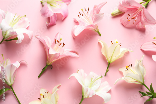 Flat lay composition with beautiful blooming lily flowers on color background