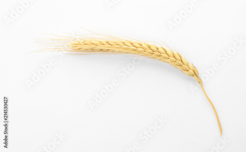 Spikelet on white background. Healthy grains and cereals