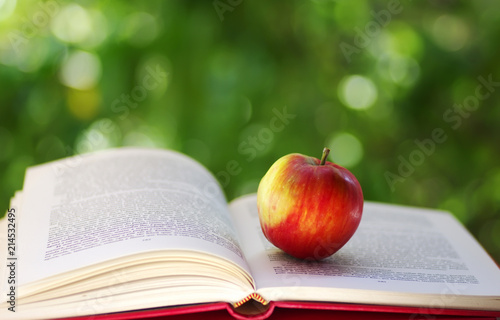 Red apple with open book on green background