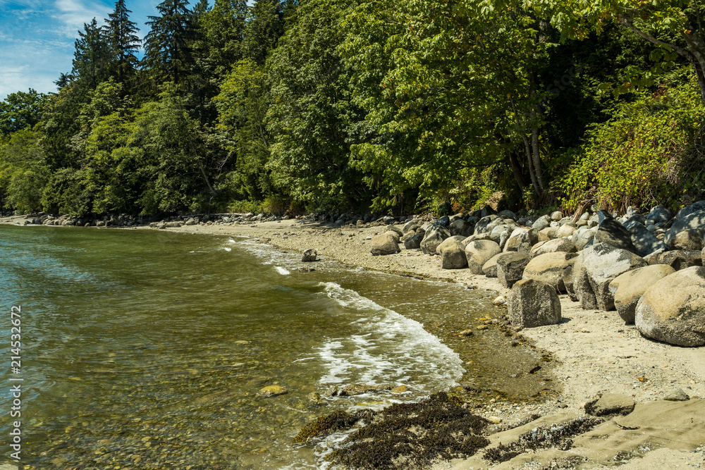 sandy beach with rocks and forest behind under the blue sky sandy beach with rocks and forest behind under the blue sky