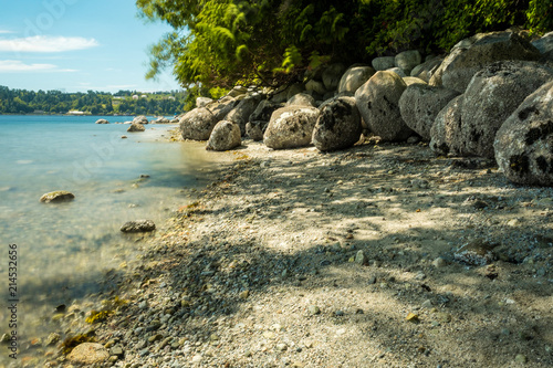 rocky beach with forest behind under the blue sky
