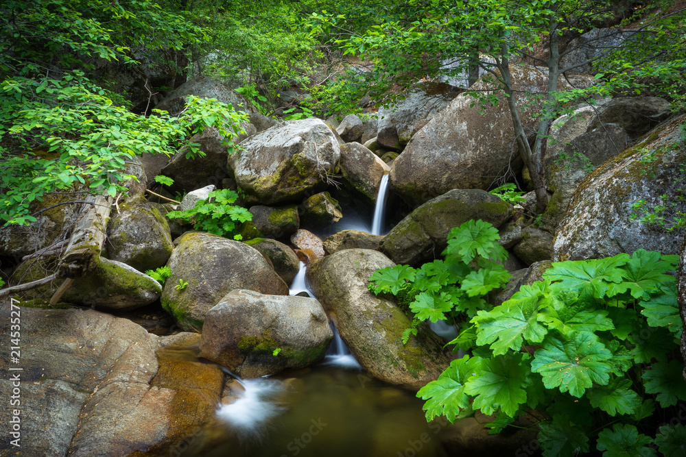 Lush Tamarack Creek Waterfall Landscape, Yosemite National Park, California Lush Tamarack Creek Waterfall Landscape, Yosemite National Park, California