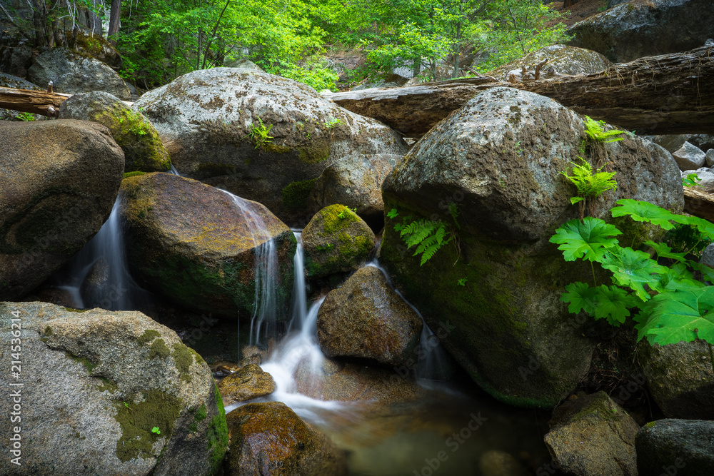 Smooth Water Flowing Over Green Fern Canyon of Tamarack Creek, Yosemite Natioanl Park Smooth Water Flowing Over Green Fern Canyon of Tamarack Creek, Yosemite Natioanl Park