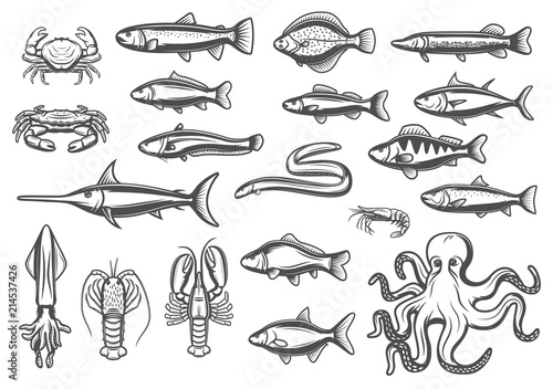 Vector sketch icons of fish and seafood