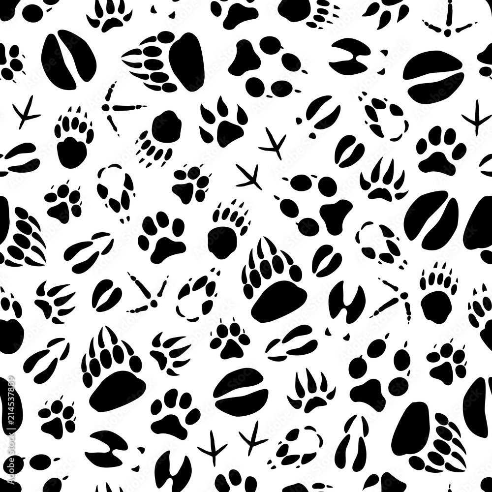 Fototapeta Vector animal or bird footprints seamless pattern