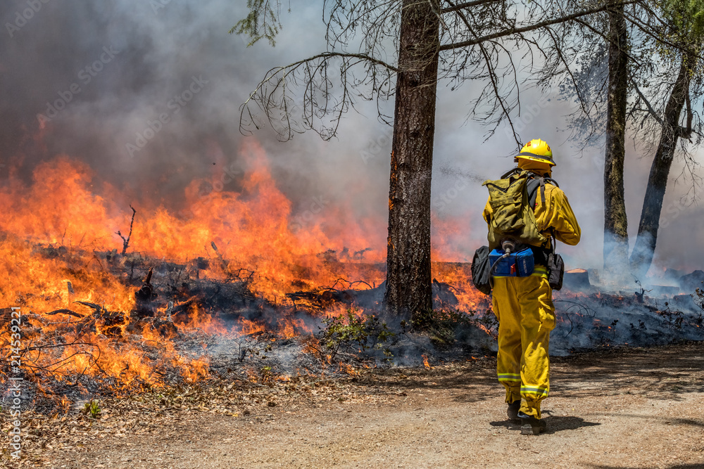 Firefighters Fighting Wildfire California Firefighters Fighting Wildfire California