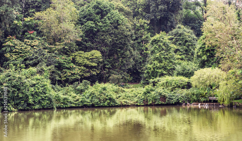 The Swan Lake at the Singapore Botanic Gardens.
