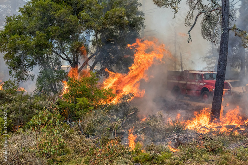 Firefighters Fighting Wildfire California