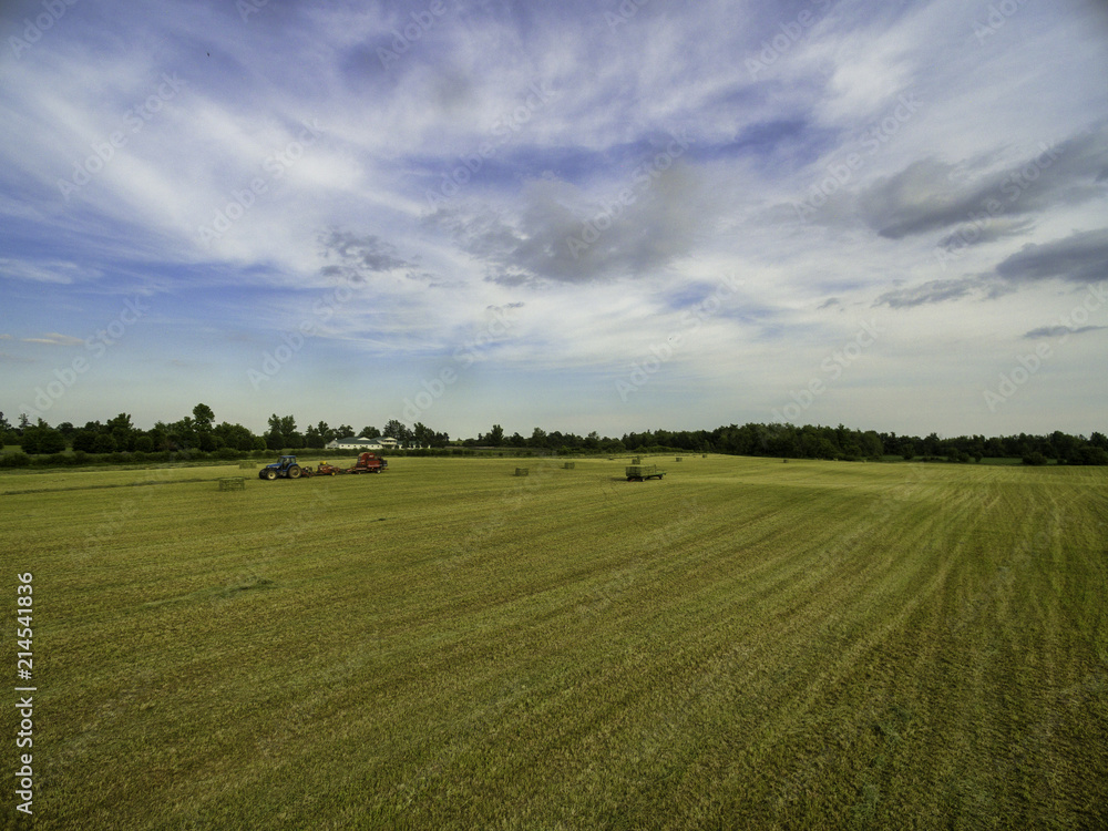 Horse farm ranch  landscape in toronto canada  