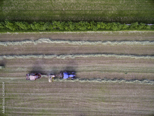 Canvas Print Horse farm ranch  landscape in toronto canada