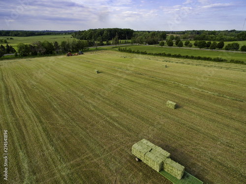Photography Horse farm ranch  landscape in toronto canada