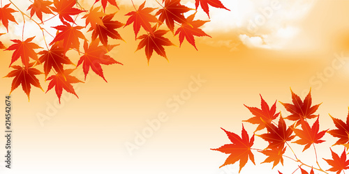 紅葉　葉　秋　背景 