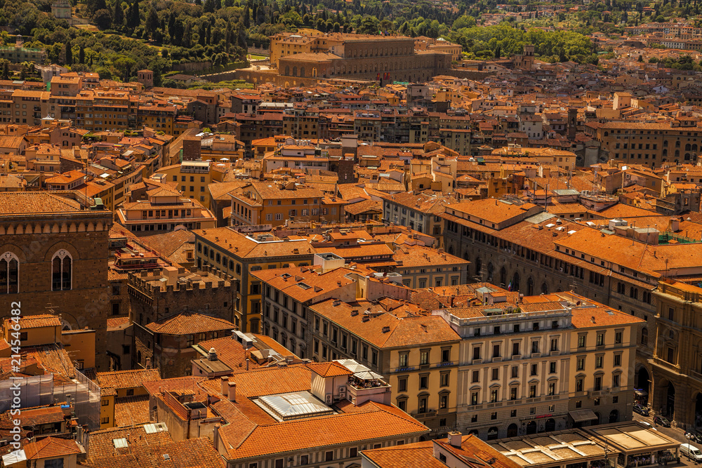Aerial view of Florence. Italy
