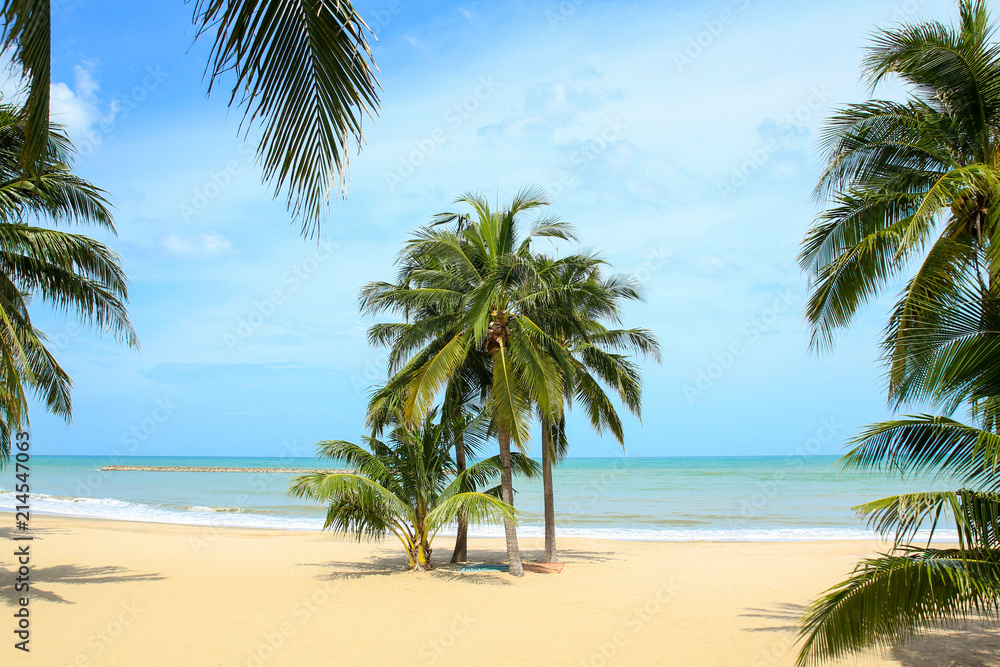 Obraz premium Coconut Palm Tree on The beach in Thailand.