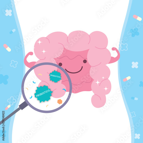 Illustration vector look through of benefits is Probiotics with magnifying glass to digestive tract.