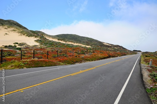Road with Colorful plants in Spring near Big Sur on 17 mile Drive in California, United States