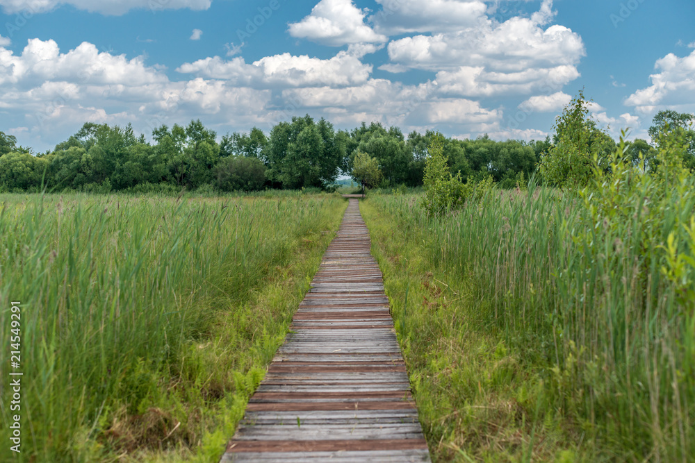 Wooden path over meadow of Biebrza Natural Park