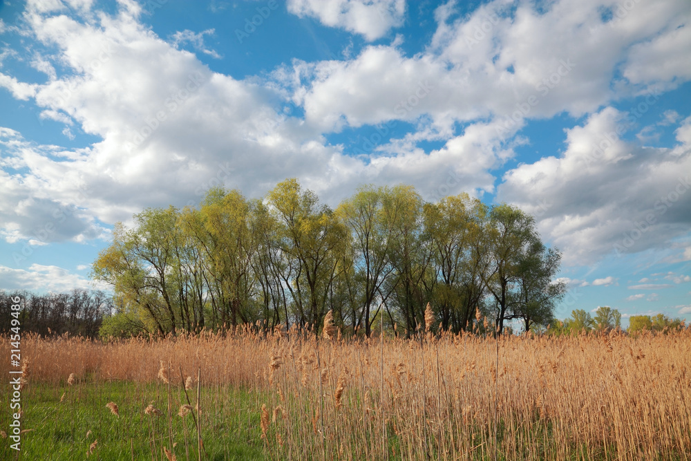 Spring natural landscape Spring natural landscape