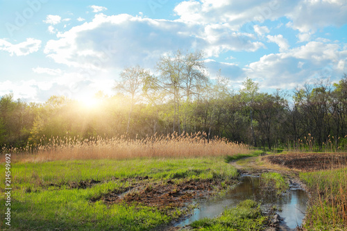 Natural landscape, springtime