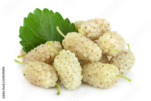 White Mulberry berry isolated