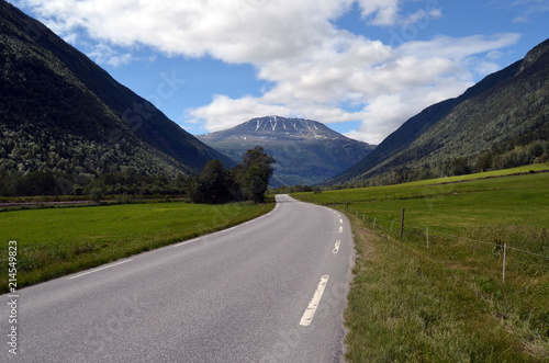 Valley and high mountains with fir forest in summer near Rjukan, Hardangervidda, Norway 