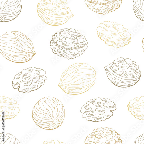 Walnut graphic color seamless pattern background sketch illustration vector