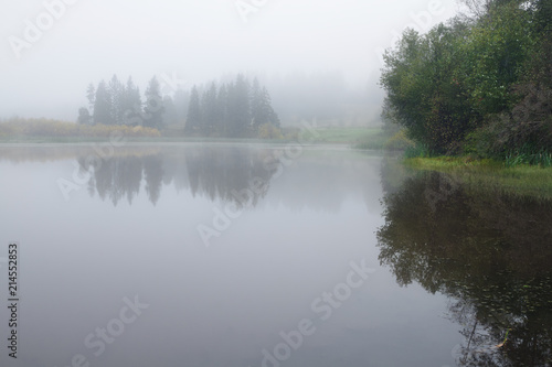 reflection of trees in the pond on a foggy autumn morning